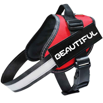 Reflective Dog Leash, Dog Leash, Dog Harness - Whiskerwise