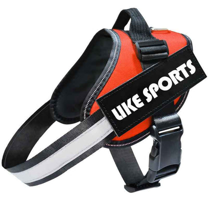 Reflective Dog Leash, Dog Leash, Dog Harness - Whiskerwise