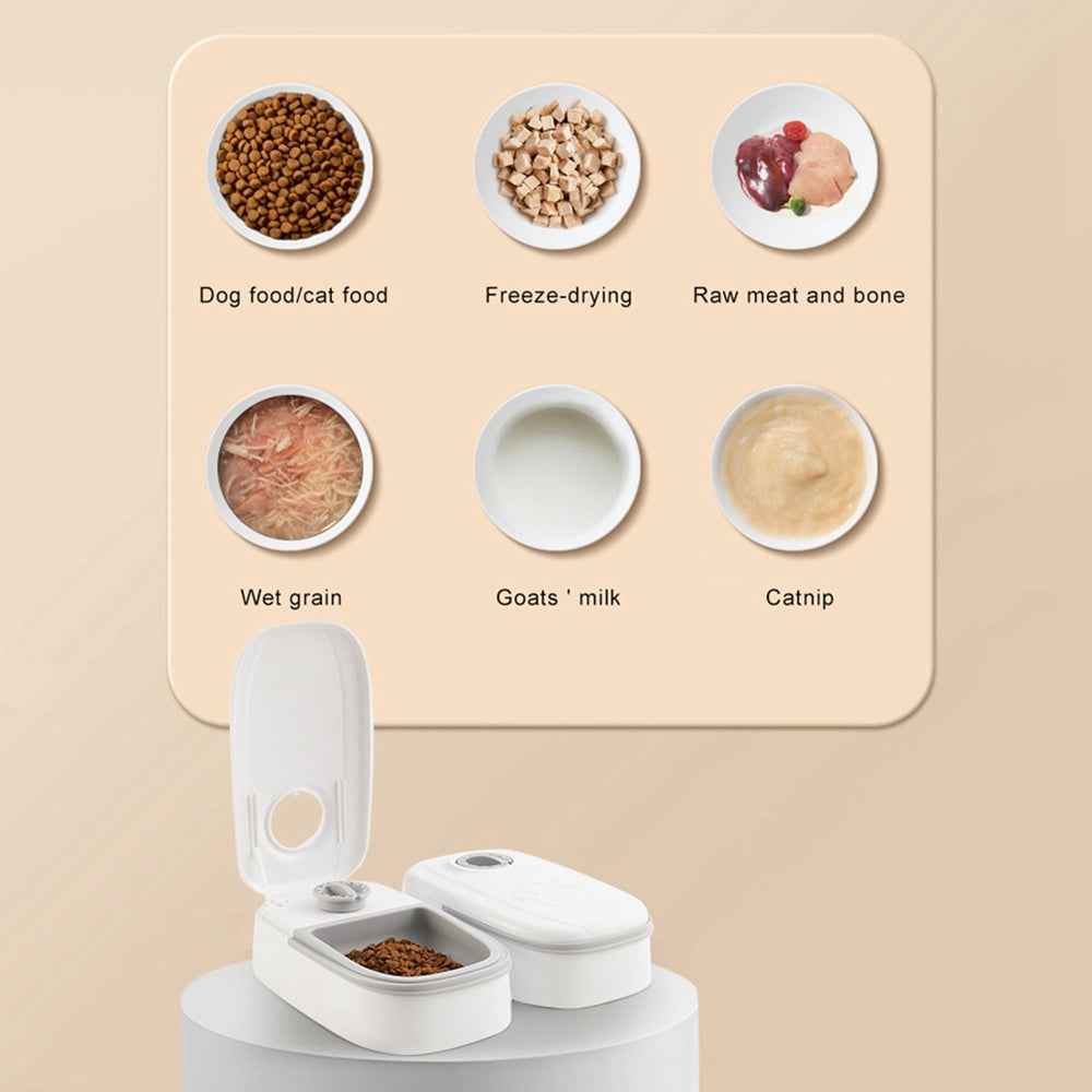 Automatic Pet Feeder Smart Food Dispenser For Cats Dogs Timer Stainless Steel Bowl Auto Dog Cat Pet Feeding Pets Supplies - Whiskerwise