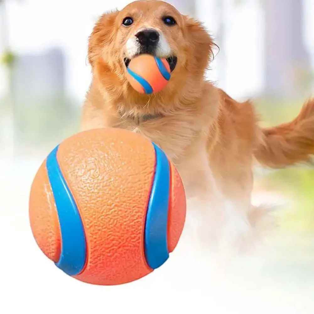 High bounce dog fetch ball ETPU rubber outdoor toy for small and large dogs