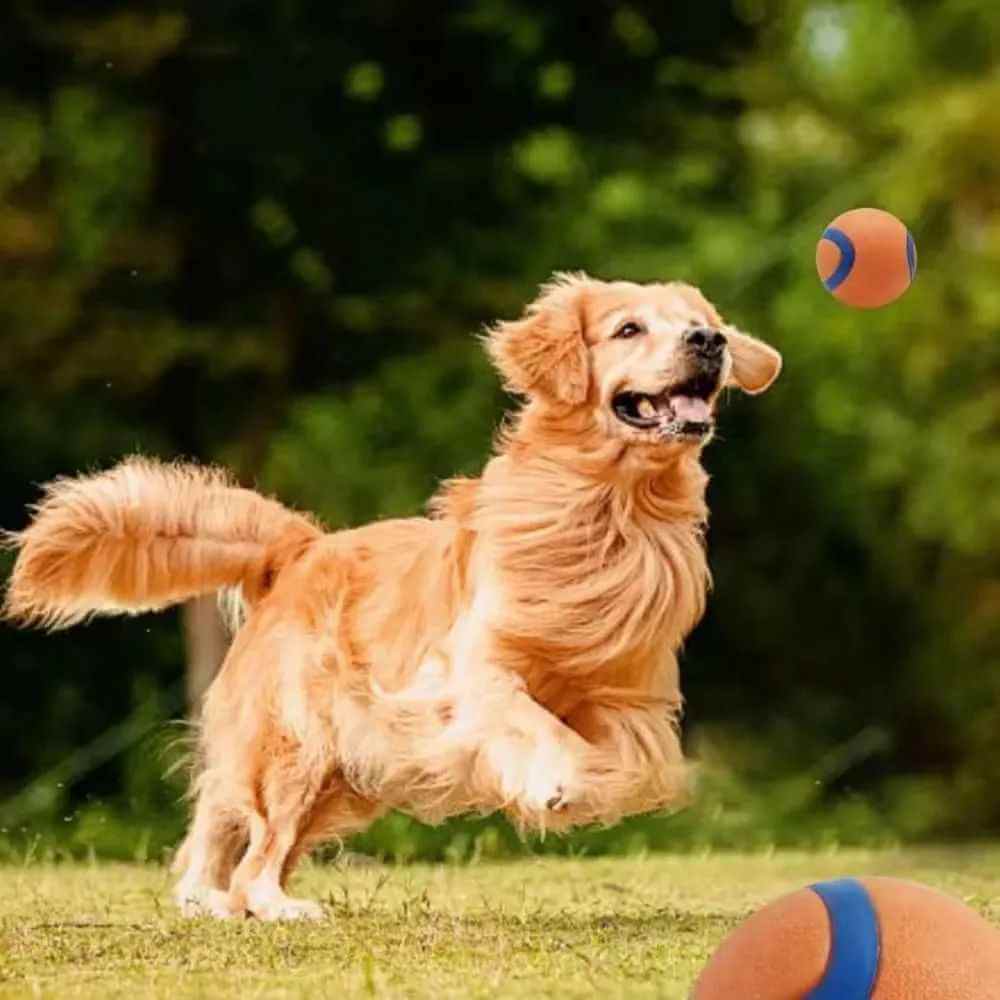 High bounce dog fetch ball ETPU rubber outdoor toy for small and large dogs