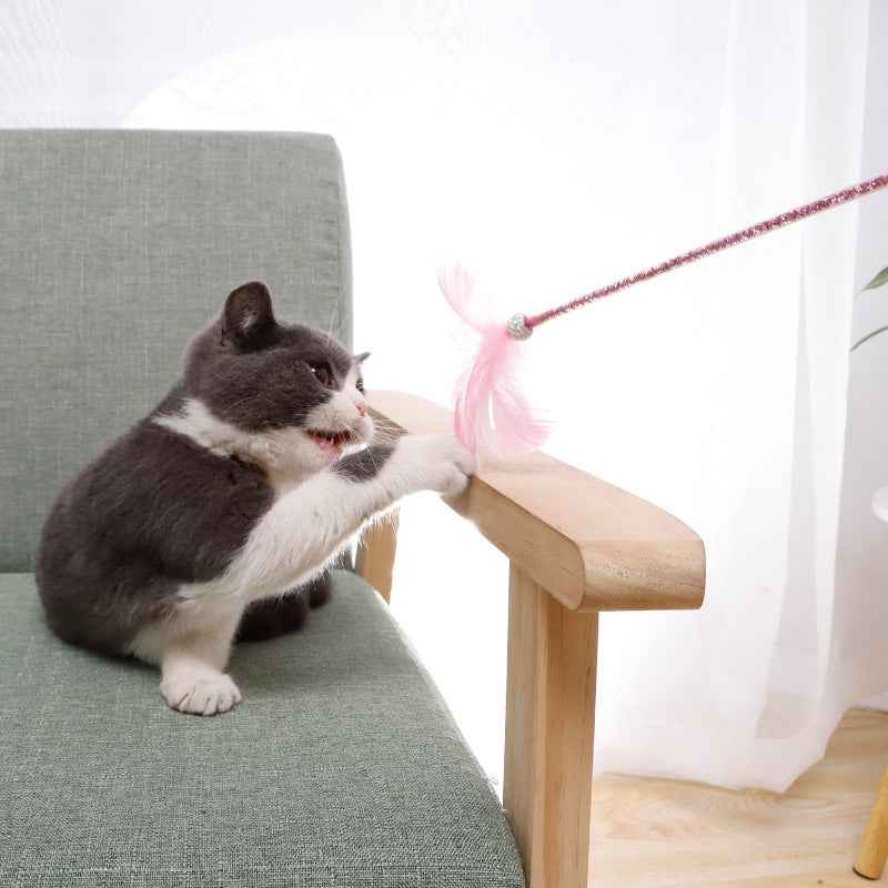 Cat Wand Toy Set – Cat playing with colorful feather on a wand toy while sitting on a chair. - Whiskerwise