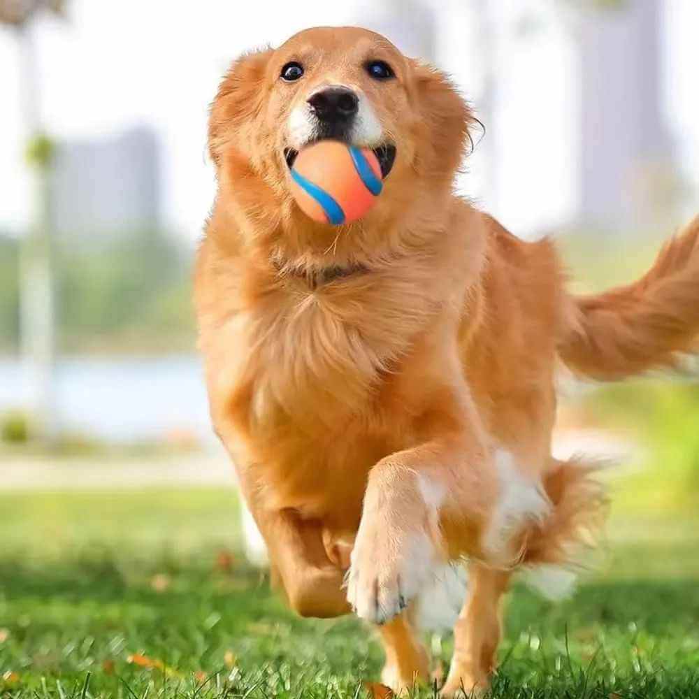 High bounce dog fetch ball ETPU rubber outdoor toy for small and large dogs