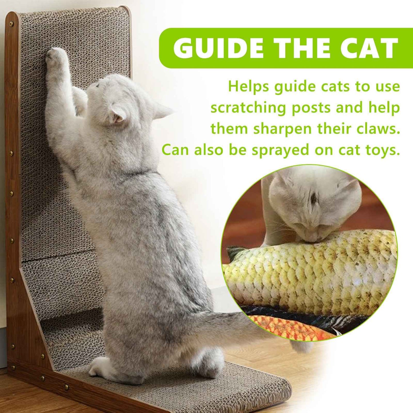 Pet Health Spray for vitality and wellness- Whiskerwise