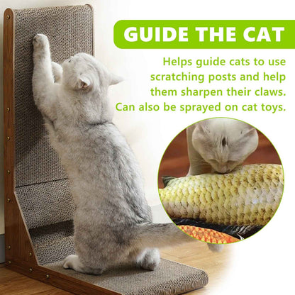 Pet Health Spray for vitality and wellness- Whiskerwise