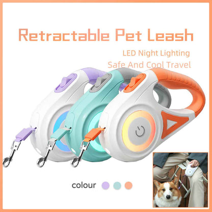 Retractable Dog Leash With Collar in hand, featuring LED spotlight and automatic traction rope for pet safety. - Whiskerwise