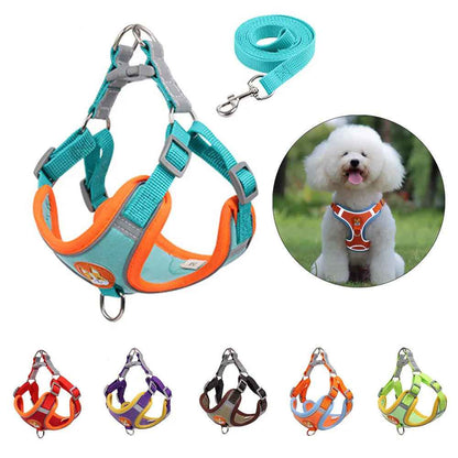 New Dog Leash And Harness Set Pet Dog Harness And Leash Set Adjustable Puppy Cat Harness Vest Reflective Walking No Pull Lead Leash For Small Dogs Chihuahua - Whiskerwise