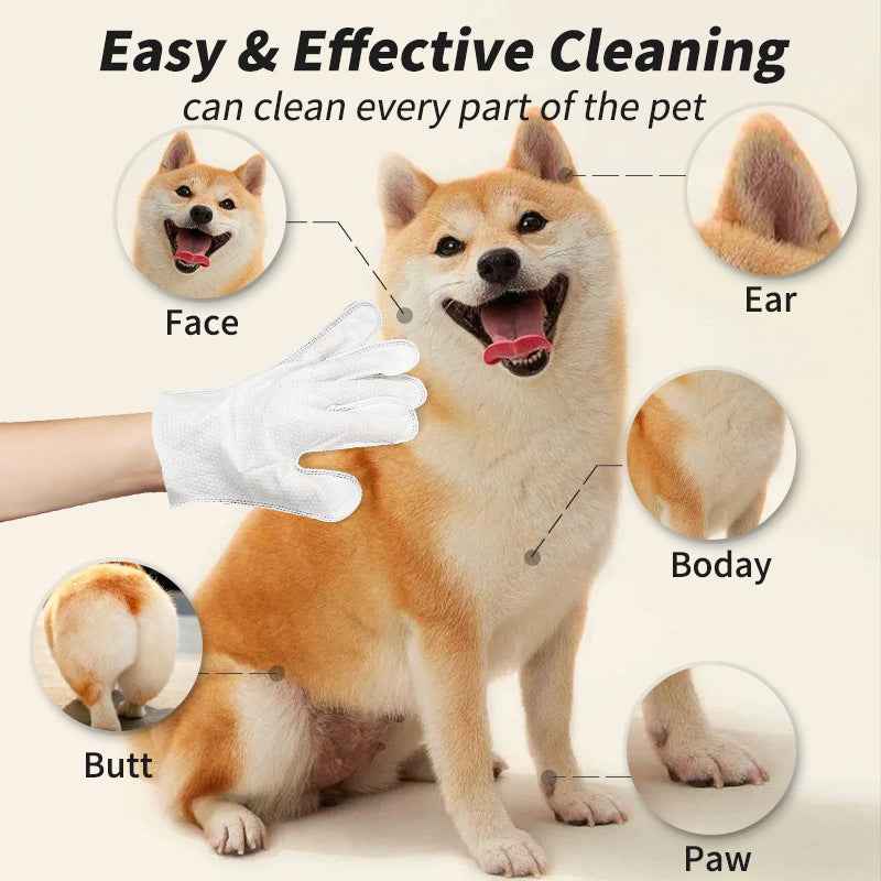 Pet Disposable Gloves Cat Dog Cleaning Dry Cleaning Gloves Pet Products - Whiskerwise