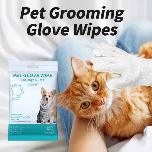 Pet Disposable Gloves Cat Dog Cleaning Dry Cleaning Gloves Pet Products - Whiskerwise