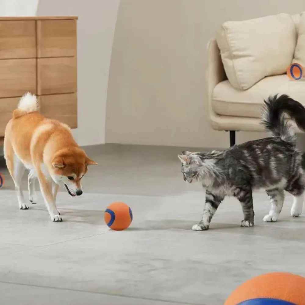 High bounce dog fetch ball ETPU rubber outdoor toy for small and large dogs