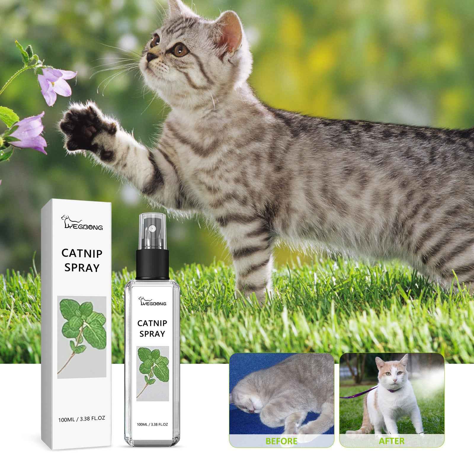 Pet Health Spray for vitality and wellness- Whiskerwise