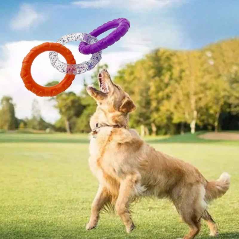 Dog Flying Disc - Whiskerwise