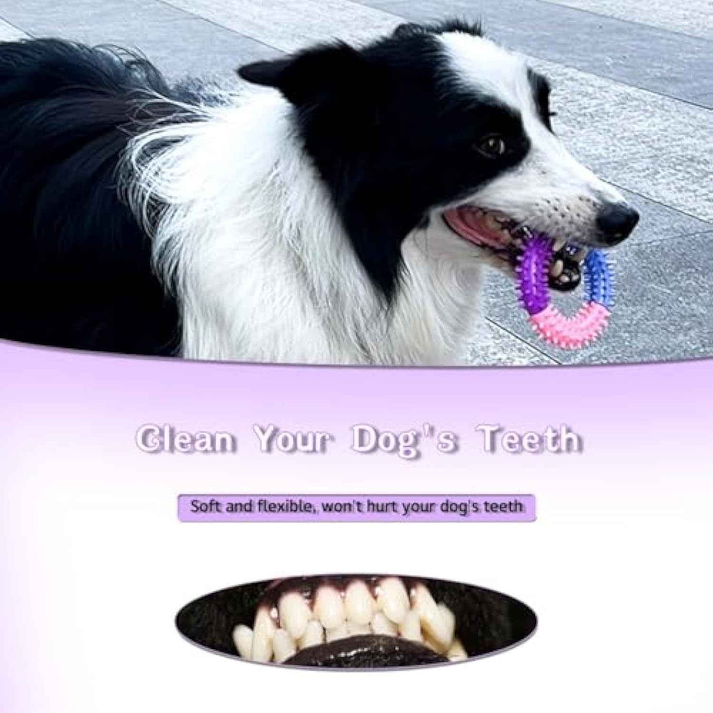 Dog Chew Ring Toy – Durable rubber teething toy for puppies and dogs with engaging design. - Whiskerwise