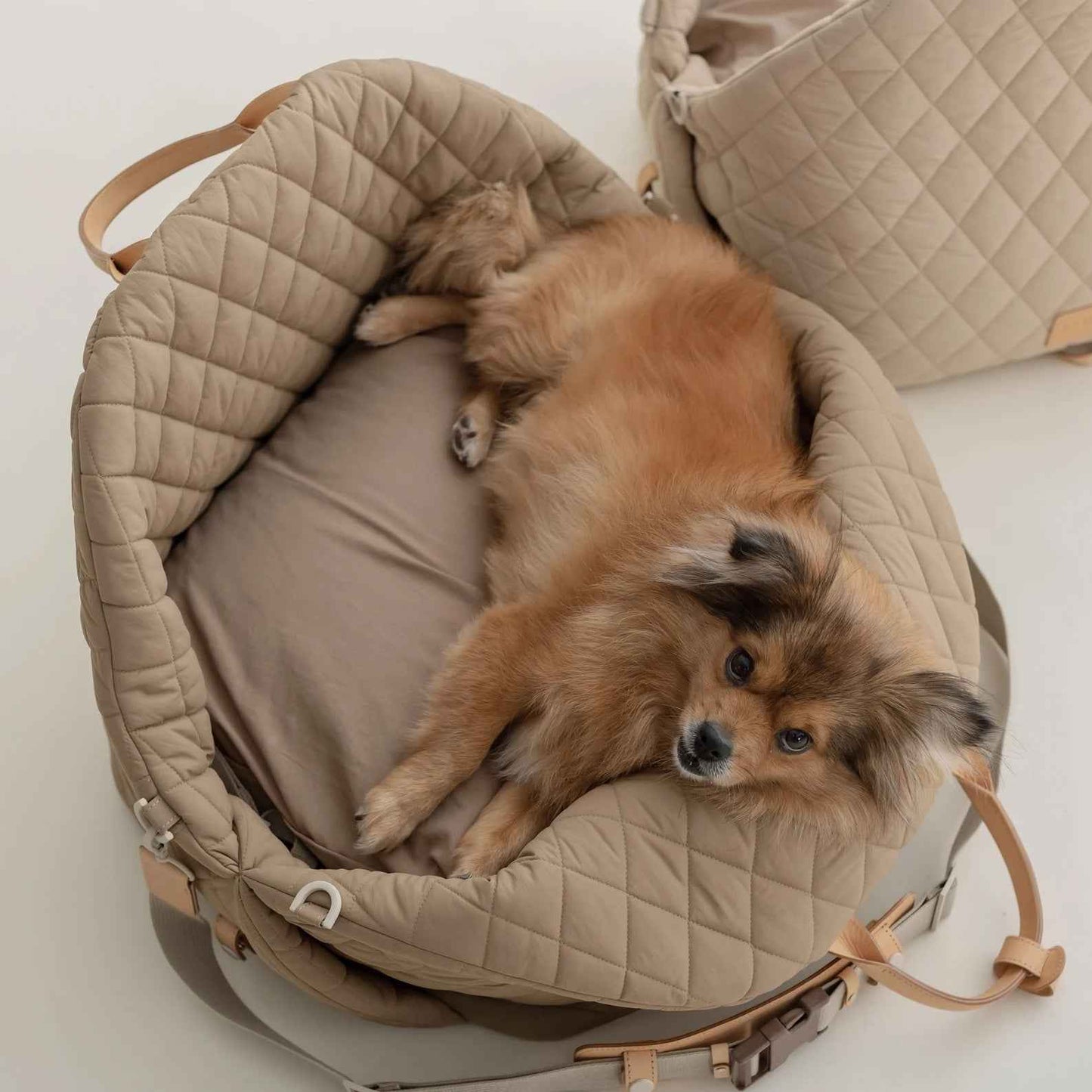 Car Removable New Nylon Waterproof Pet Bag - Whiskerwise