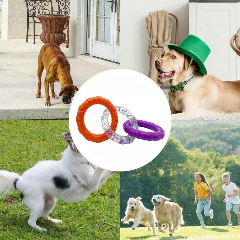 Dog Flying Disc - Whiskerwise