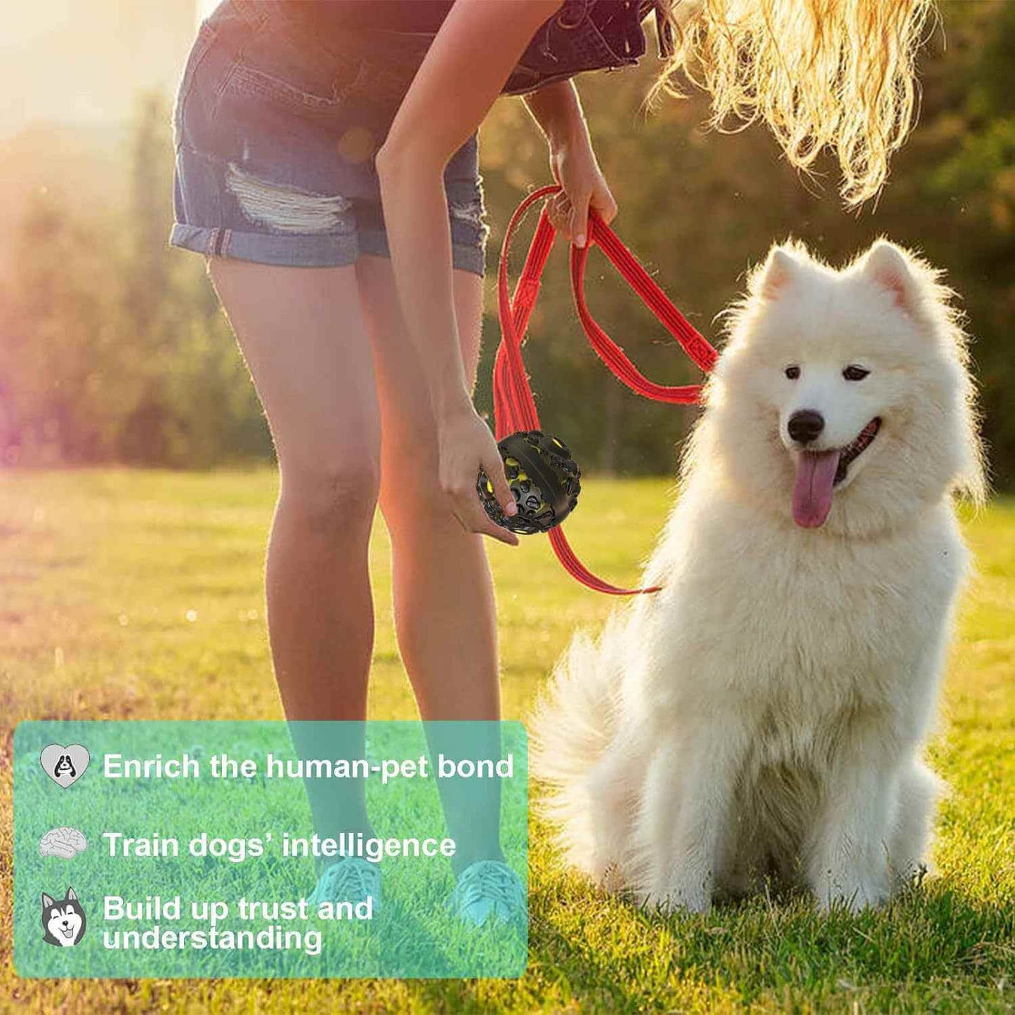 Durable Interactive Dog Ball in use, promoting dental health and engaging chewers with textured surface.