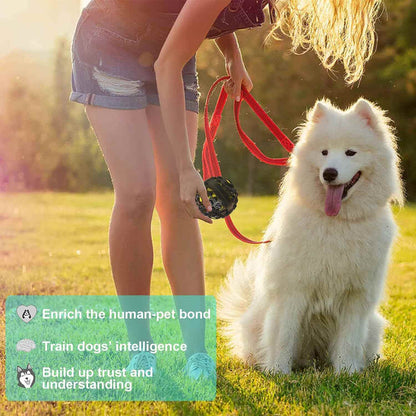 Durable Interactive Dog Ball in use, promoting dental health and engaging chewers with textured surface.