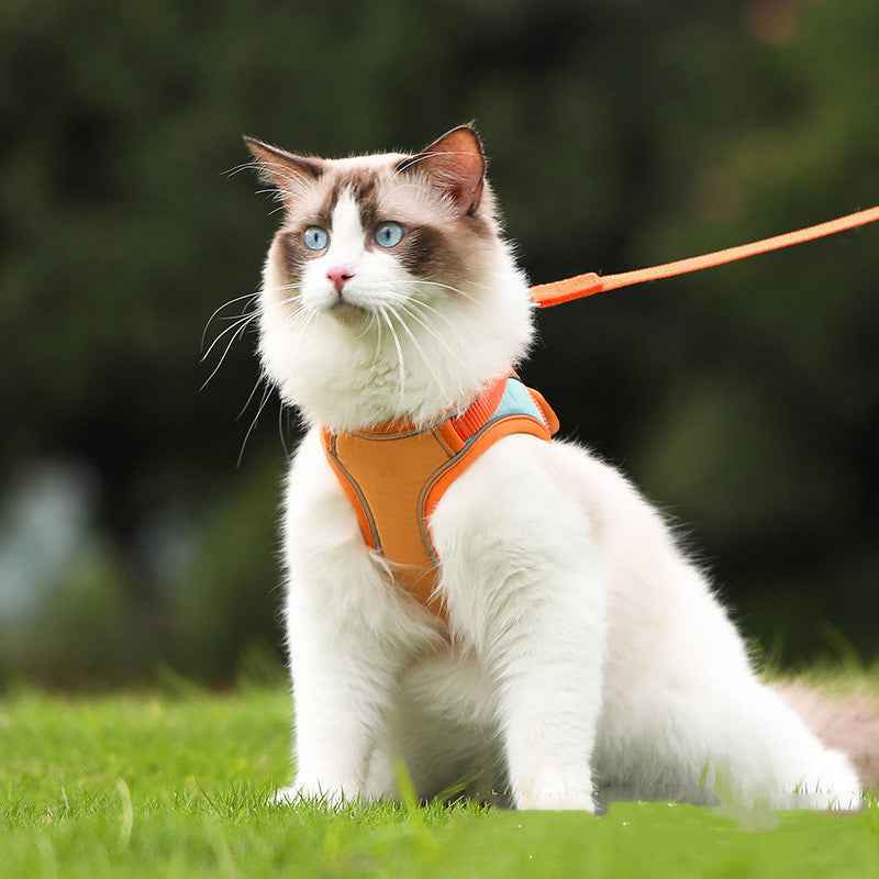 Escape Proof Cat Harness & Leash on a fluffy white cat in an orange vest outdoors. - Whiskerwise