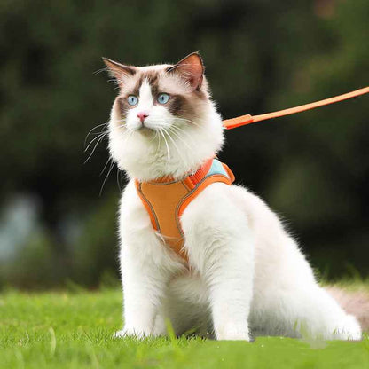 Escape Proof Cat Harness & Leash on a fluffy white cat in an orange vest outdoors. - Whiskerwise