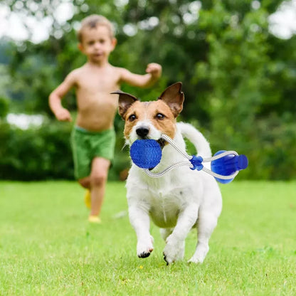 Interactive suction cup pet toy for cats and dogs on smooth floor surface
