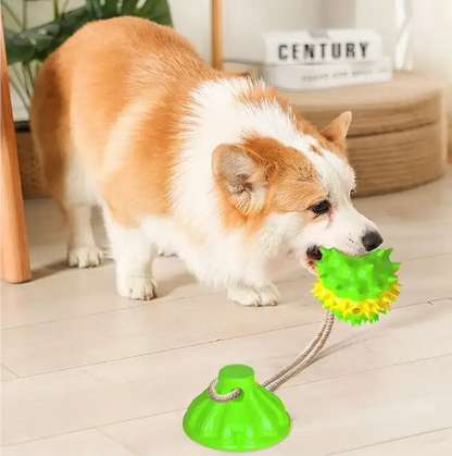 Interactive suction cup pet toy for cats and dogs on smooth floor surface