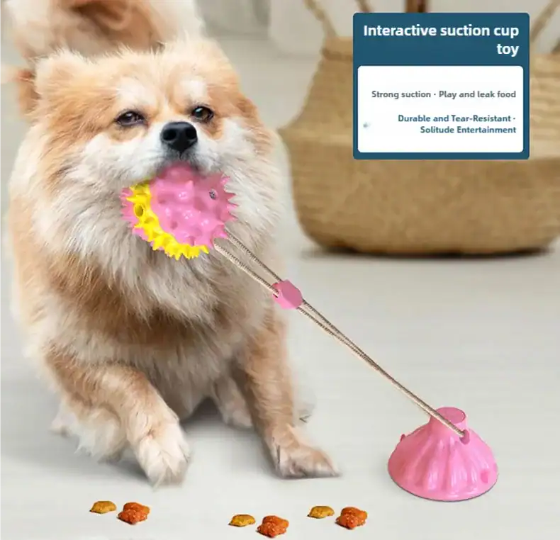 Interactive suction cup pet toy for cats and dogs on smooth floor surface
