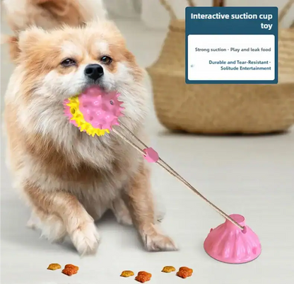 Interactive suction cup pet toy for cats and dogs on smooth floor surface
