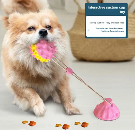 Interactive suction cup pet toy for cats and dogs on smooth floor surface